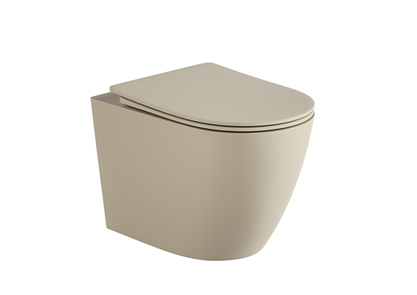 Wall-hung Toilet