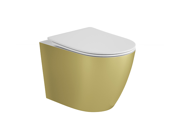 Wall-hung Toilet