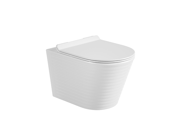 Wall-hung Toilet