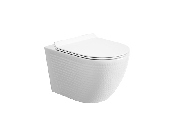Wall-hung Toilet