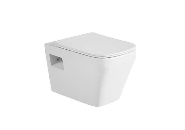 Wall-hung Toilet