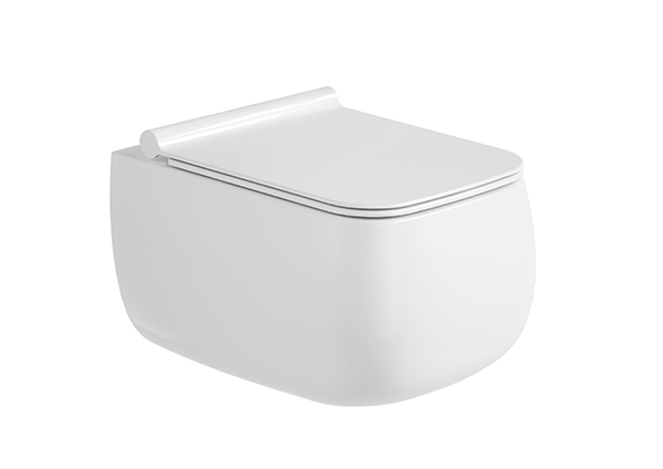 Wall-hung Toilet